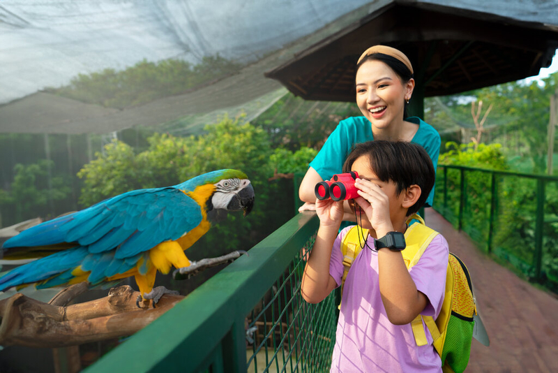 Jakarta Bird Land Ancol B8ezRt6c
