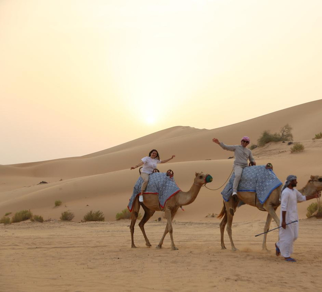 Dubai: Quad Bike or Dune Buggy Adventure & Optional Transfer NB47U9aV
