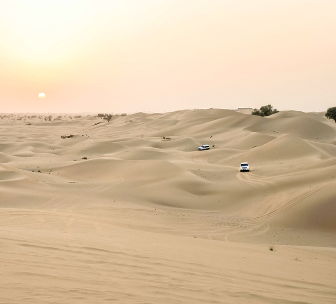 Doha: Safari, ATV, Camels, Sandboarding and Inland Sea Tour DAxoYQJL