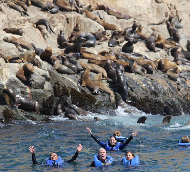 From Lima: Palomino Islands, Sea Lions Swim & Yacht Tour PRWGfr7m