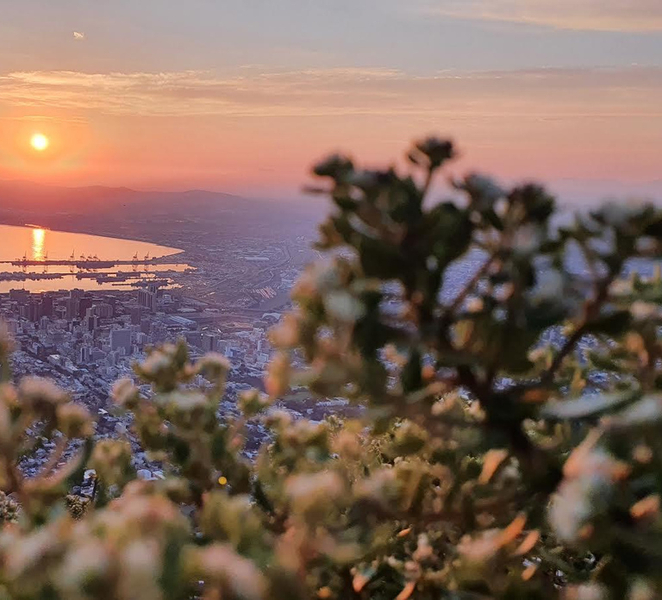 Cape Town: Lion's Head or Table Mountain Guided Hike lHep8nrB