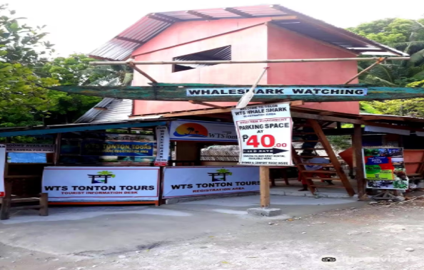 Oslob Whale Shark Watching UjAtlZlO