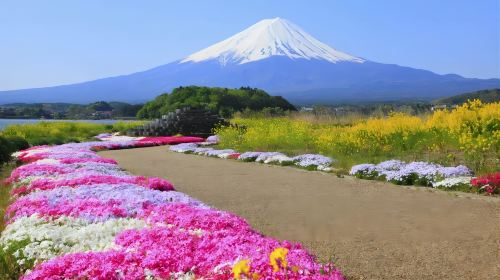 [KABA Amphibious Bus Ticket Included] Tokyo Twin Lakes Kawaguchi and Yamanaka Day Trip | Hotel Pick-up Optional Day Tours LafTaEno