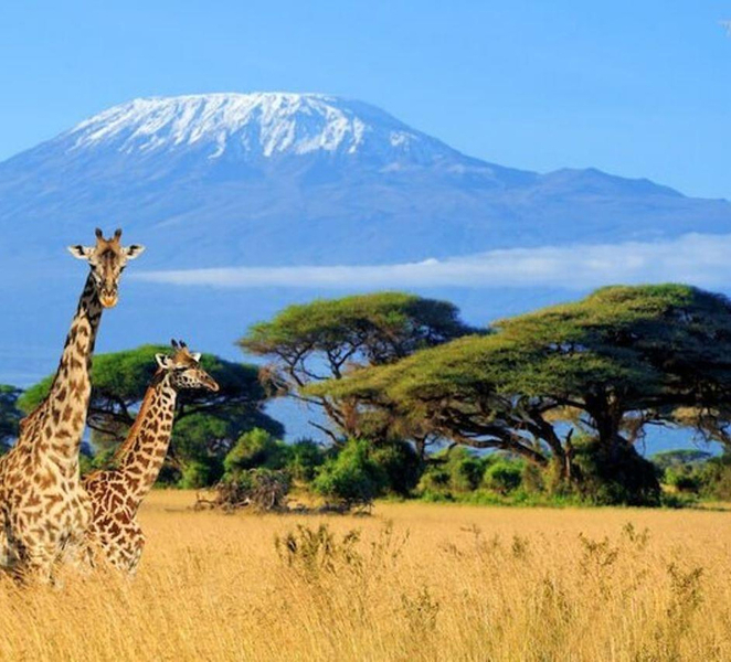 Kenya: 7-Day Big 5 Safari Tour from Nairobi 2ZDkszlF