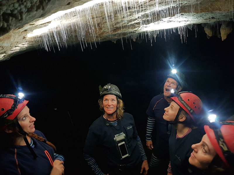 Private Glowworm Cave Tour with Down to Earth Waitomo jKAxMYhS