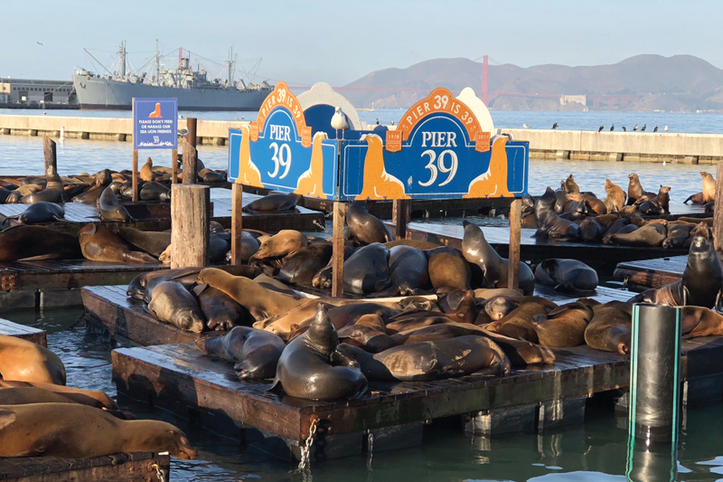 Alcatraz Island Ticket with 2-Day Hop-On Hop-Off & Night Bus Tour qUPJIkBh