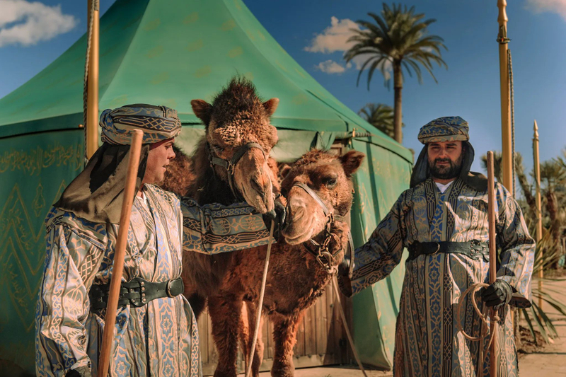 Puy Du Fou from Madrid with Transfer and Entrance Ticket TT5vpaLt