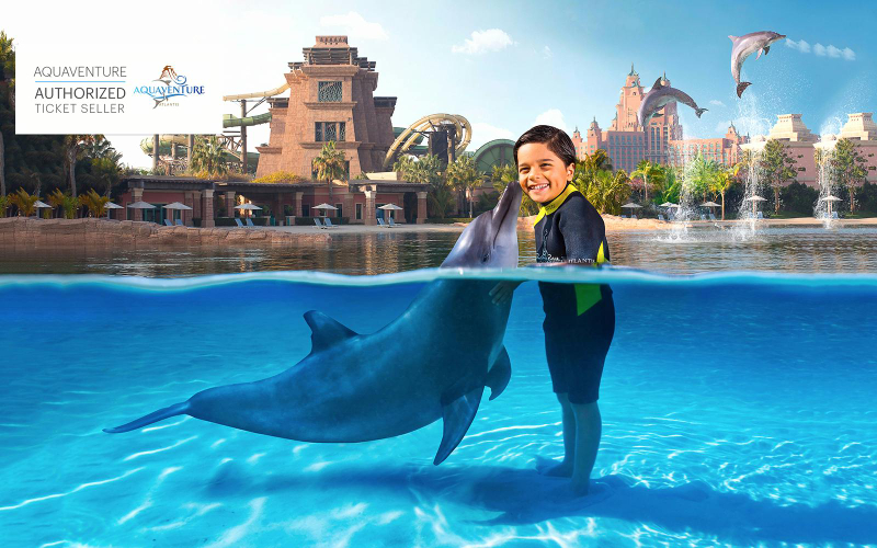Atlas Village: Atlantis Dolphin Meet & Greet wMUbdvUg