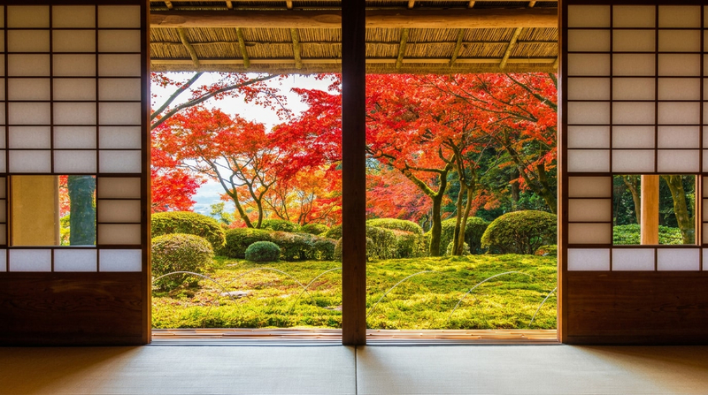 (Autumn Limited Offer - Lunch Included) Kyushu Autumn Leaves One-Day Tour: Kyunen-an/Hibi Shrine, Mifuneyama Rakuen, Yutoku Inari Shrine (Departing from Fukuoka) 5RbPo1bV