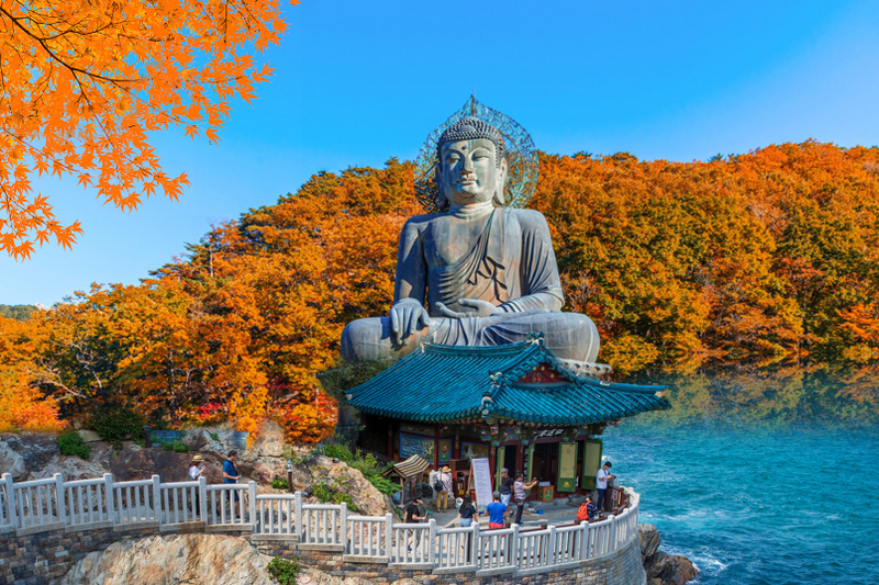Mt. Seorak National Park Autumn Foliage One Day Tour from Seoul 4pXio4bH