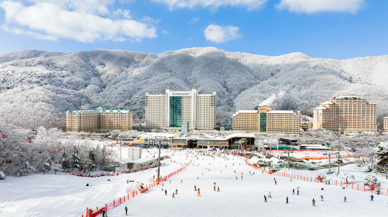Vivaldi Park Winter Ski and Eobi Ice Valley Day Tour from Seoul 8IZ5D0Uv
