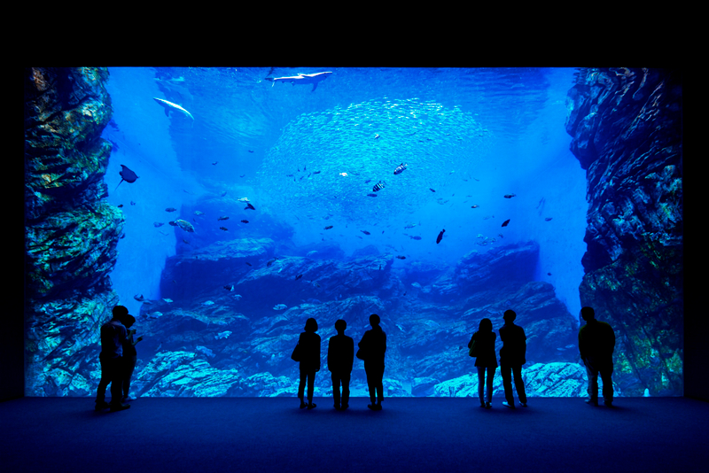 Sendai Umino-Mori Aquarium Ticket ysbSIj70