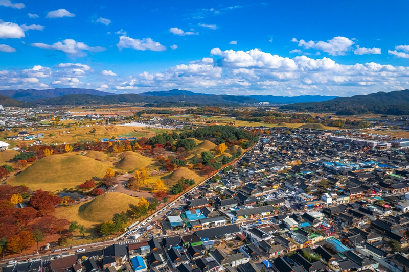 Gyeongju Autumn Foliage One Day Tour from Busan ukCXzVBh