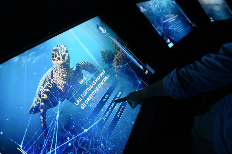 Atlantis Aquarium Madrid Ticket HemvEQUY