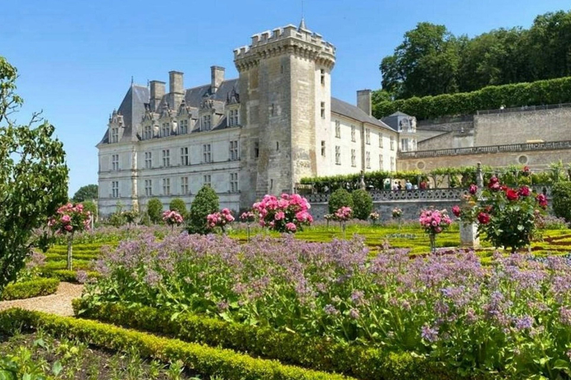 Chateau d'Azay-le-Rideau & Gardens of Villandry: Guided Trip from Tours gVq0d3M1