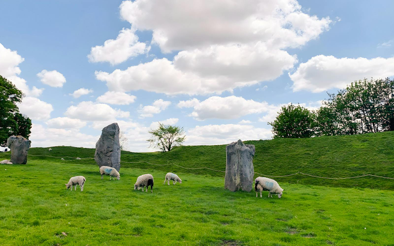 From London: Full-Day Guided Small-Group Tours of Stonehenge & Avebury Qqb1ou3y