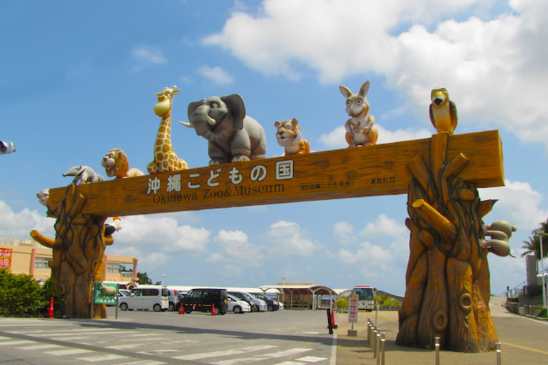 Okinawa Zoo & Museum Ticket sh35Dd6Z