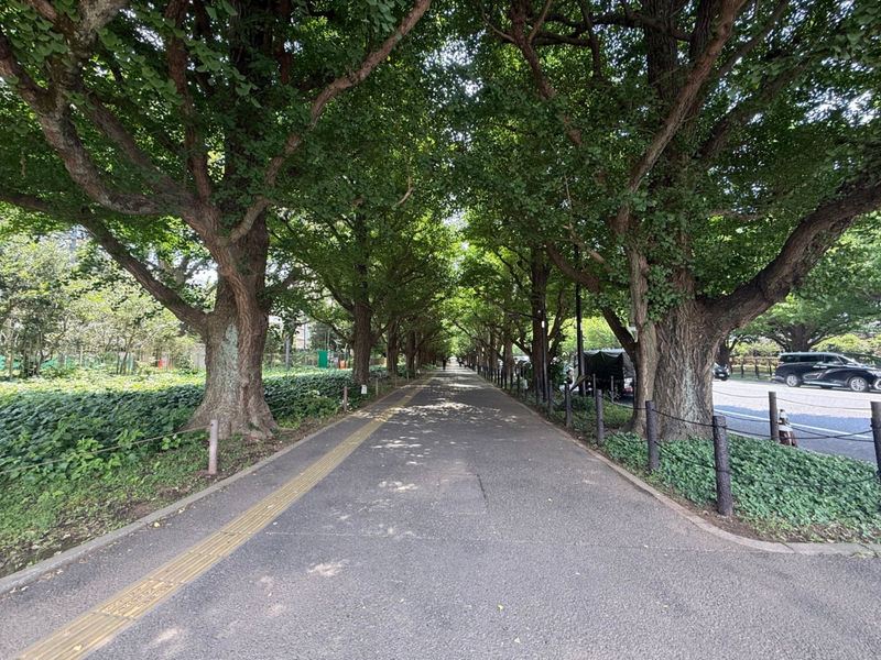 [ALPEN RUN MEIJI PARK] Tokyo Sightseeing Running Experience Liyaiv0v