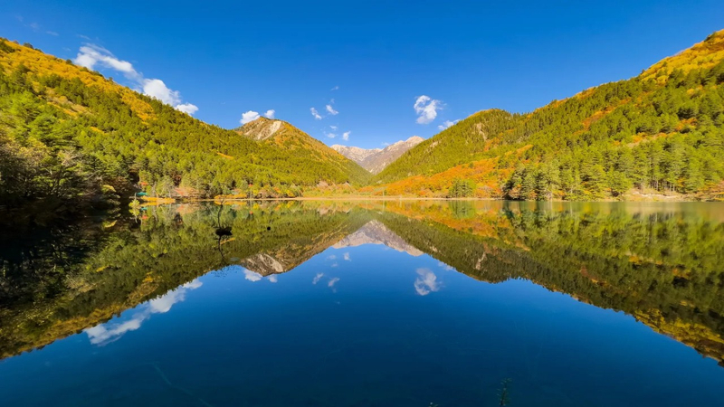 Jiuzhaigou Scenic Area Entrance Ticket + Sightseeing Bus Nq7P89JW