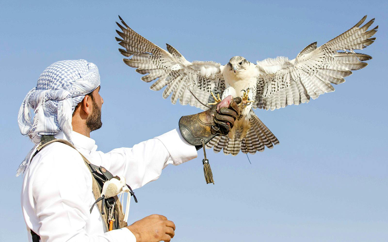 Abu Dhabi Premium Desert Safari with BBQ Dinner, Camel Ride and Sandboarding tq92V10K