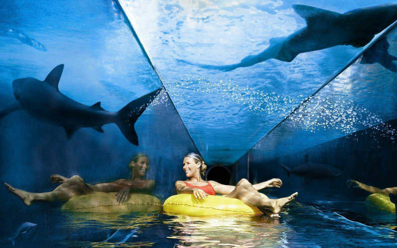 Atlantis Aquaventure Waterpark Tickets tcEEjqZZ