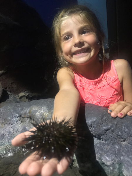 Lanzarote Aquarium Ticket QJPjBWjF