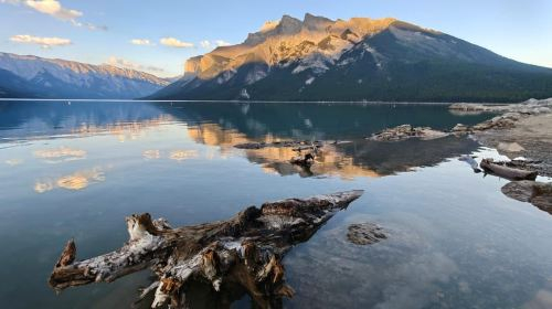 Banff/Calgary: Banff National Park & Johnston Canyon Trip Day Tours Gi8EEfAc