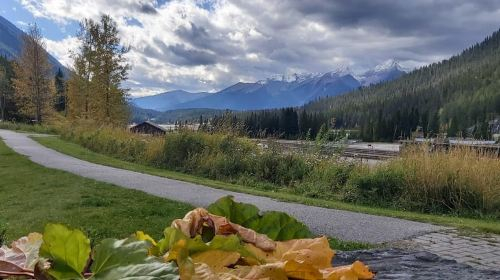 Banff National Park: Full-Day Adventure Day Tours 6UNVNkKc