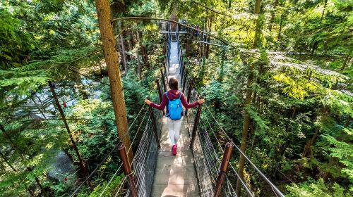 Vancouver City Tour W/ Iconic Landmarks, Capilano & Lookout Day Tours NrjzvVRR