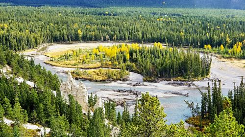 Minnewanka/Banff Gondola/Johnston Canyon/Moraine Lake Louise Day Tours WgduZA59