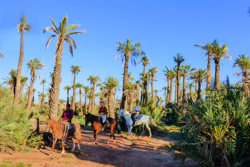 Palm Grove Horseback Riding Tour in Marrakech CbOWR1bs