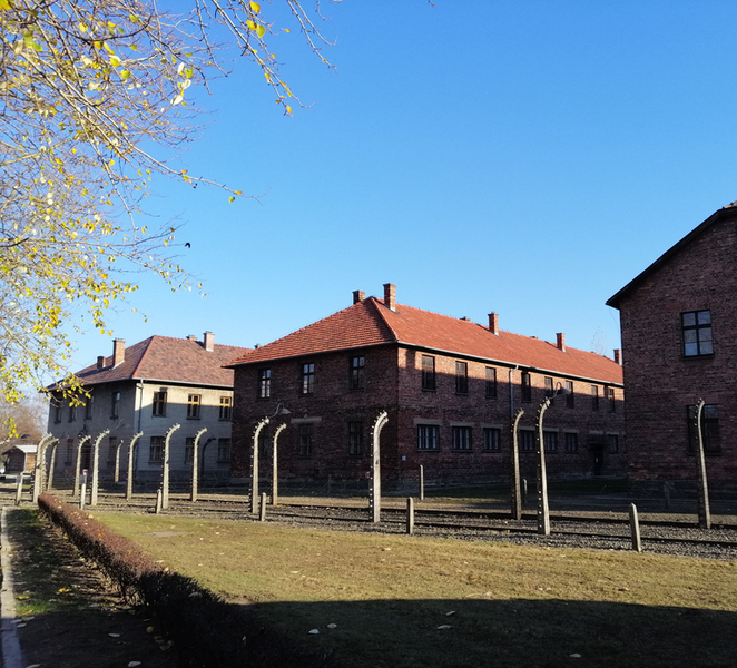 From Warsaw: Auschwitz-Birkenau Tour by Car oWwUlqjM