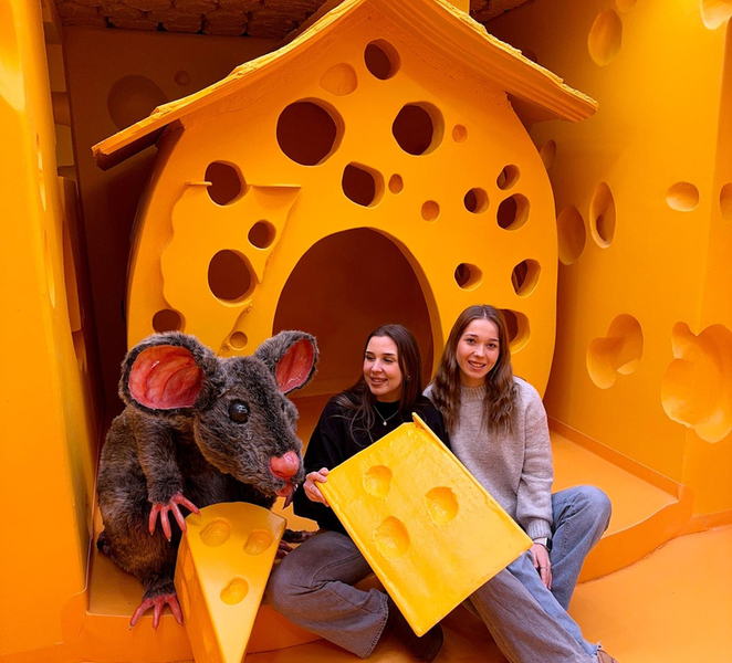 Zakopane - Be Happy Museum - entry ticket PcBrvkzn