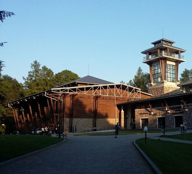 Warsaw: Bialowieza National Park and European Bison Tour dXTNKug0