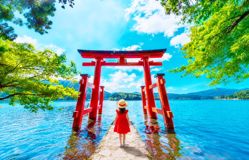 Mount Fuji/Hakone/Kamakura Day Trip: Classic Mountain Lake Secrets・Volcanic Wonders・Enoshima Scenery (Multiple Routes Available) XxV3tOg1