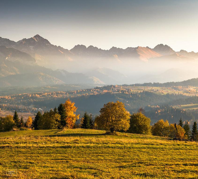 Zakopane: Buggy Off‑Road Adventure, Mountain Views & Bonfire IxyvKRLz