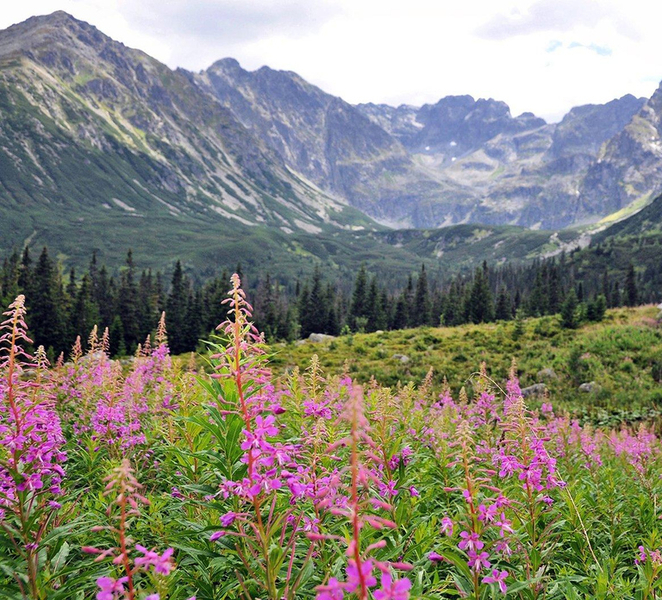 Krakow: Zakopane, Morskie Oko, and Cheese Tasting Tour DLjsUDMH