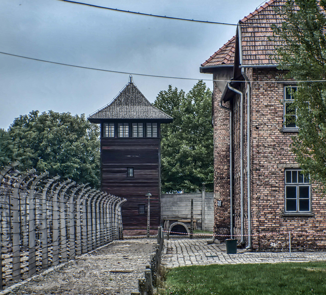 Krakow: Auschwitz and Wieliczka Salt Mine Combo Tour lieomFft
