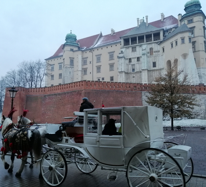 Warsaw: Auschwitz-Birkenau and Krakow Tour by Car 38m12Aen