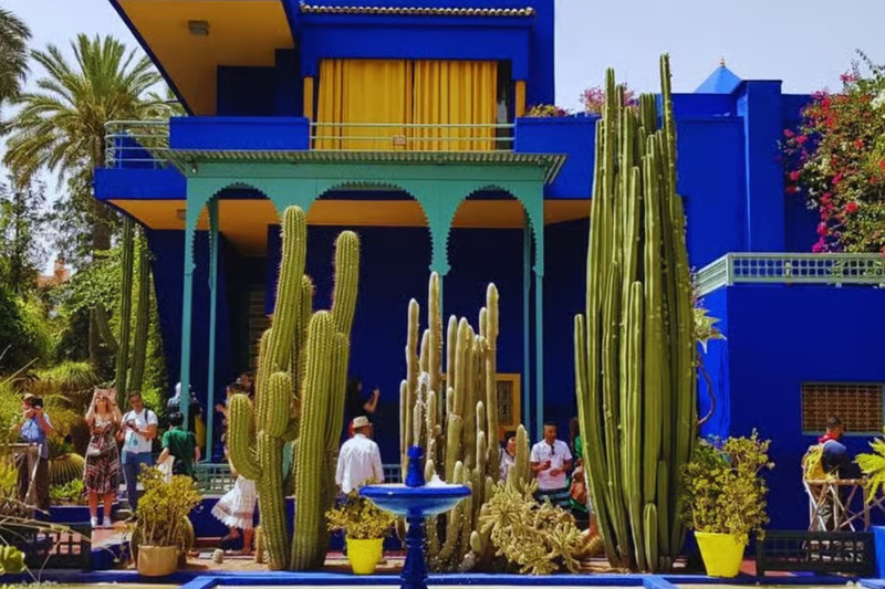 Majorelle Garden ticket & Carriage Ride in Marrakech Y4PIQIqE
