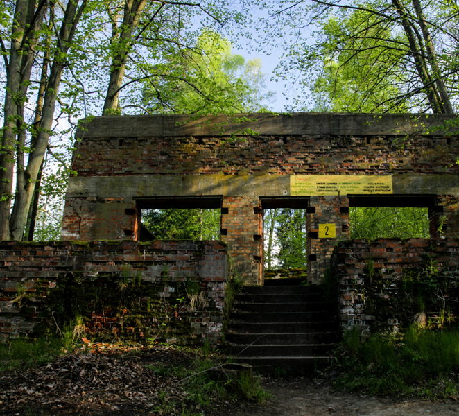 Warsaw: Private Full-Day Wolf's Lair Tour Va3tvE13
