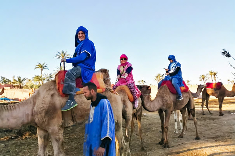 Palmeraie Oasis Camel Ride with Mint Tea in Marrakech DcrVF9JY