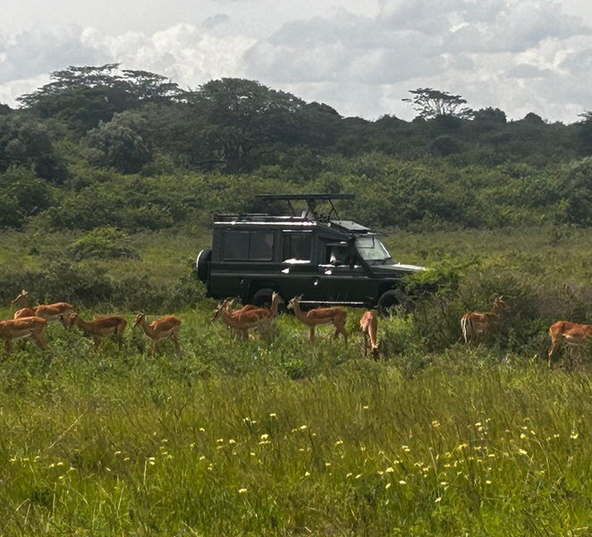 Lake Naivasha and Aberdare 4-Day Safari Rvx4US2I