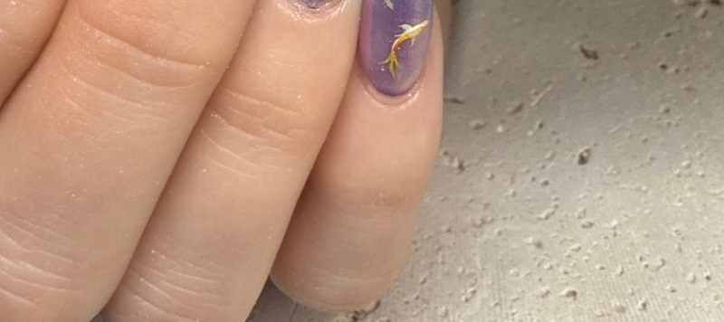 Hand-drawn art nail salon Nail Salon Meika, 2 minutes walk from Nakameguro Station. English available. sIkIrXkf