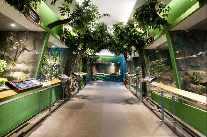 Siam Serpentarium Snake Museum wQcVPArV