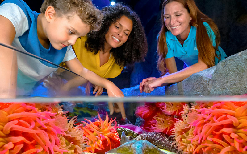 LEGOLAND® Florida 7-Park Pass aBq8wPhC