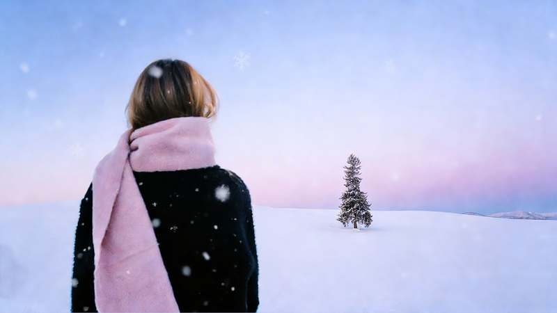Hokkaido Asahiyama Zoo & Shikisai no Oka & Ningle Terrace & Biei Christmas Tree Day Trip | Departing from Sapporo (Snowmobile experience optional) UIWpUd5O