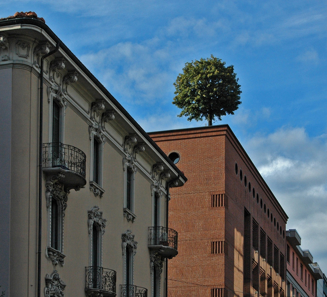 Lugano: Capture the most Photogenic Spots with a Local X8gkfbwT