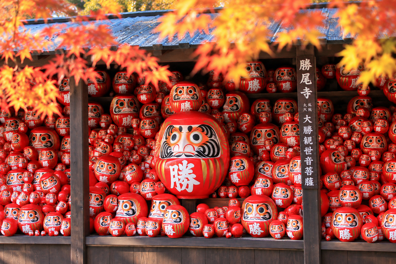 Katsuo-ji Temple Dharma Prayer, Kyoto Arashiyama, and Kiyomizu-dera Temple Day Trip: Lunch can be upgraded to A5 Kuroge Wagyu "Kobe Beef" (Free Matcha Experience) X8J8GYI8