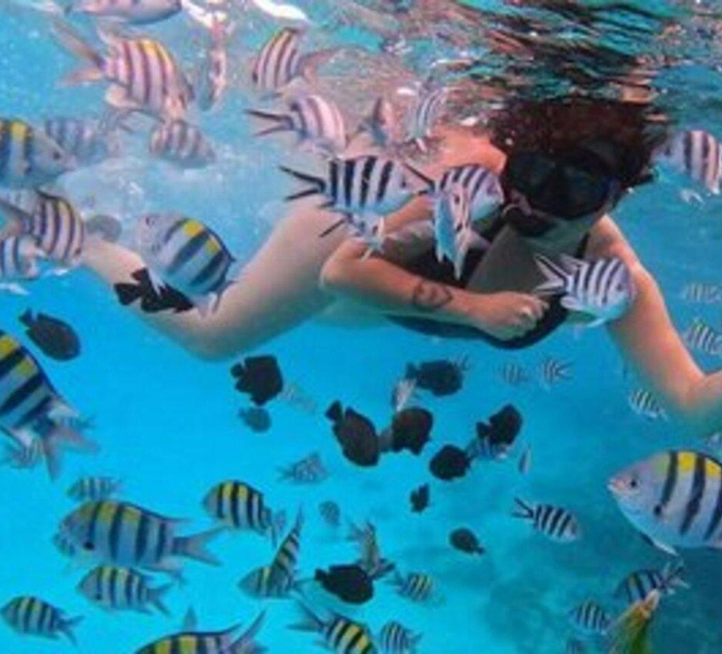 Zanzibar: Mnemba Dolphin, Jozani Forest & Turtle Sanctuary GKxNc0Rq